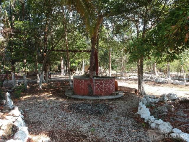 TU RANCHO EN LA RIVIERA MAYA — foto 4