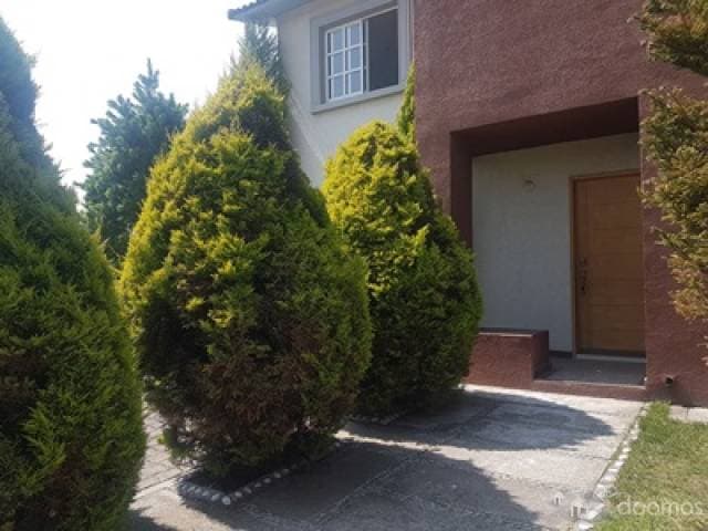 BELLA PROPIEDAD CON 360 DE TERRENO — foto 15