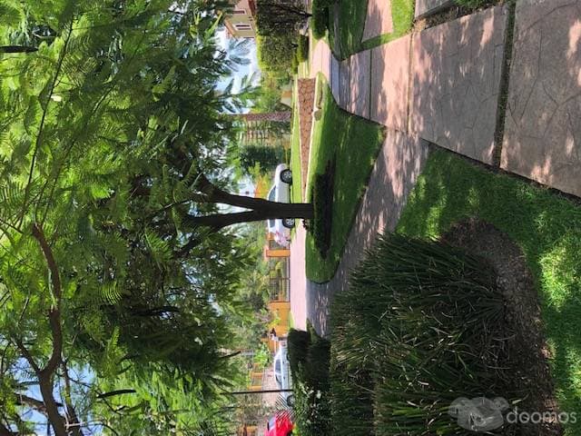 casa de 3 recamaras en Morelos — foto 8
