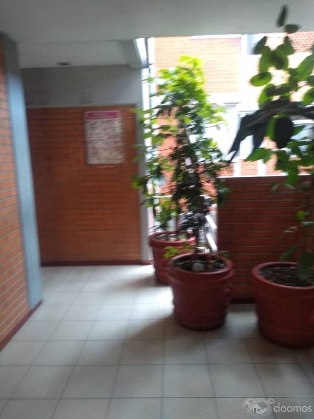 EXCELENTE DEPARTAMENTO EN RENTA — foto 7