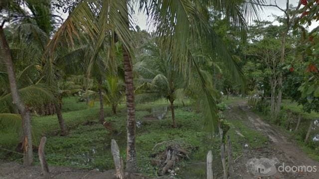 TERRENO EN VENTA EN PROGRESO TULAR — foto 1