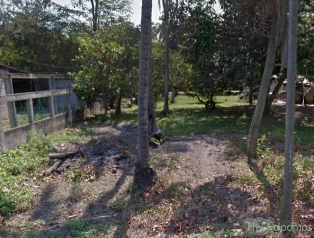 VENTA DE TERRENO EN PUERTO CEIBA — foto 1