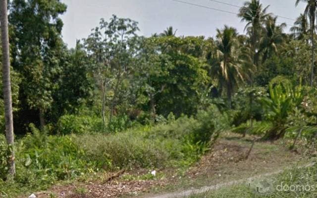 TERRENO EN VENTA EN LA COLONIA PUERTO CEIBA — foto 1