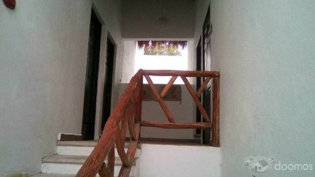Rento Estudio / Loft con baño privado y alberca — foto 2