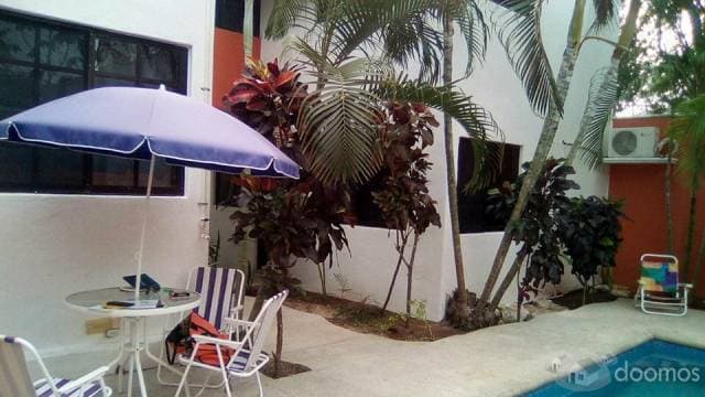 Rento Estudio / Loft con baño privado y alberca — foto 4