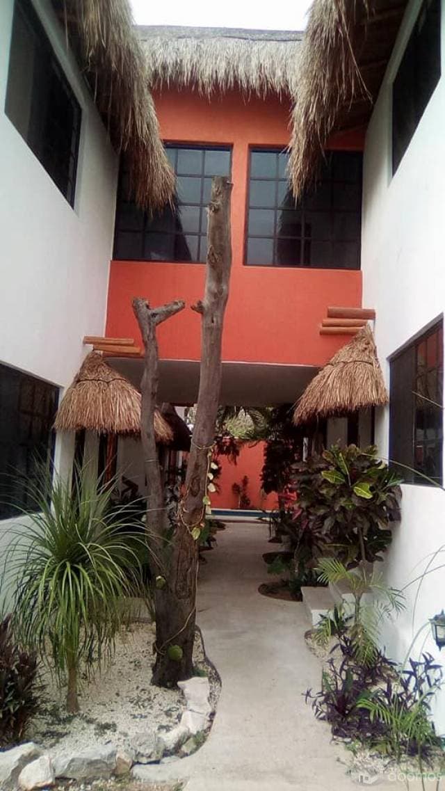 Rento Estudio / Loft con baño privado y alberca — foto 7