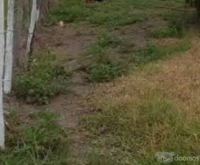 VENTA DE TERRENO EN NACAJUCA — foto 1