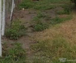 VENTA DE TERRENO EN NACAJUCA