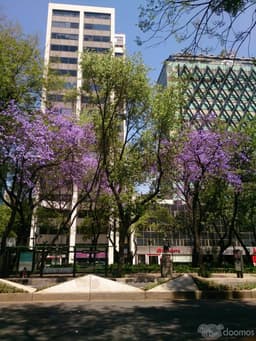 SE RENTAN OFICINAS EN PASEO DE LA REFORMA $68,500