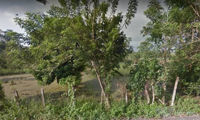TERRENO EN VENTA EN MANTILLA — foto 1