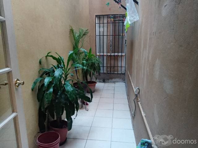 Riberas del Bosque — foto 8