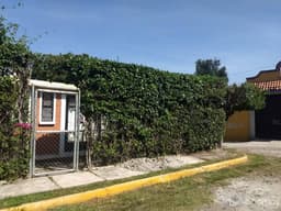 DEPARTAMENTO O BUNGALOW EN RENTA EN CUAUTLA MORELOS