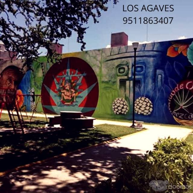 Desarrollo "Los Agaves Xoxo" — foto 5