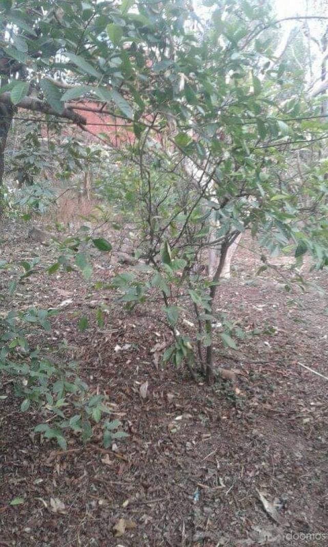 URGENTE PRECIO A TRATAR — foto 1