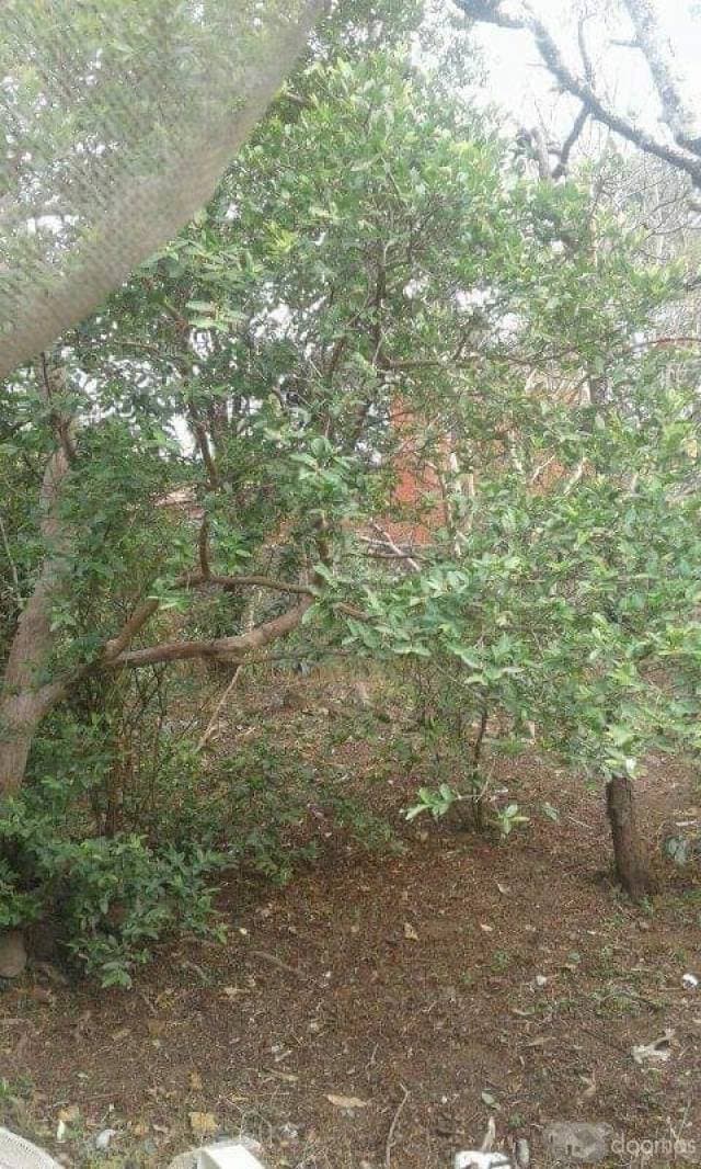 URGENTE PRECIO A TRATAR — foto 6