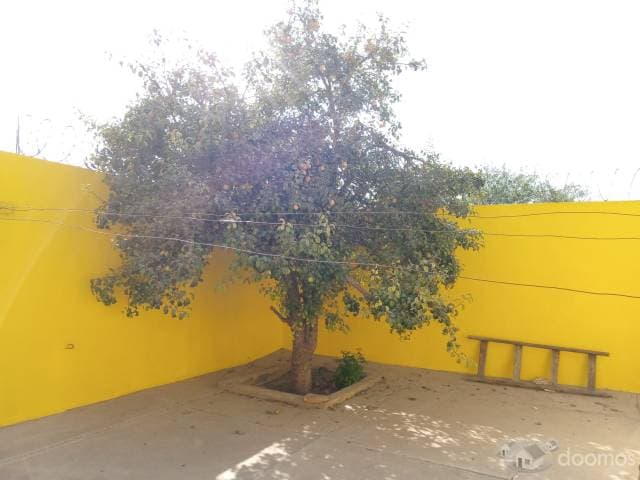 Casa en venta en Tijuana: Ejido Matamoros — foto 12