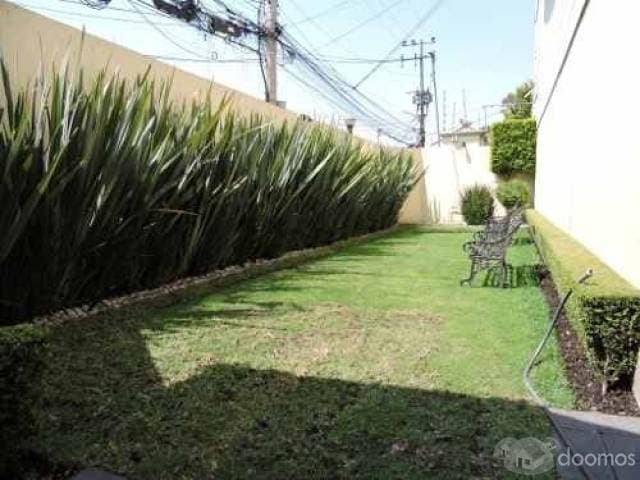 Casa Coyoacán — foto 6