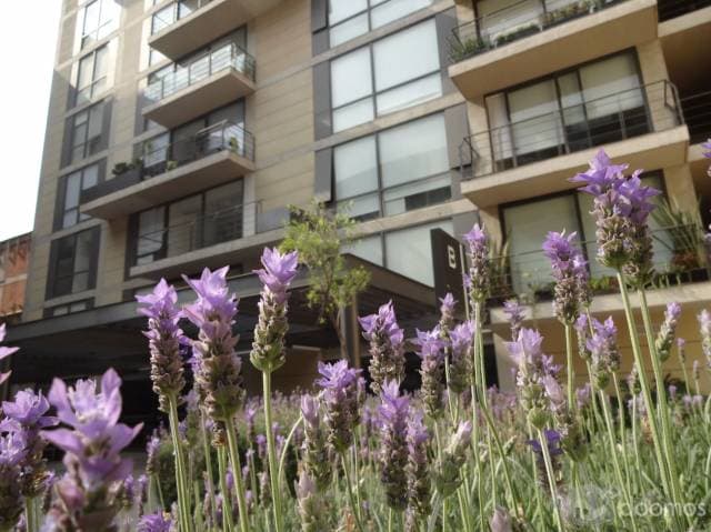 Venta De Departamento En Joy Coyoacán — foto 2