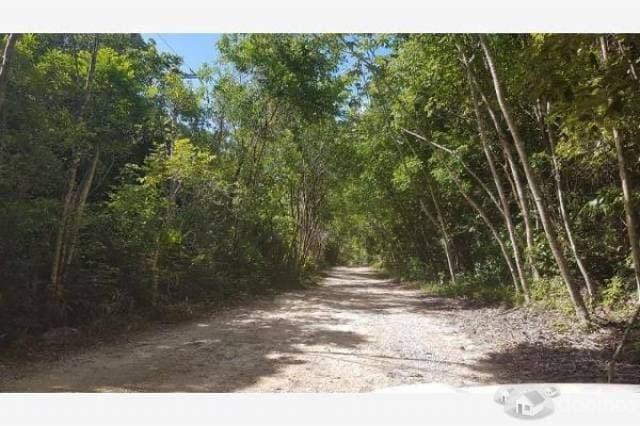 Se venden Terrenos — foto 4