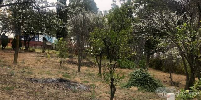 CASA CON TERRENO EN VENTA EN TLALMANALCO — foto 8