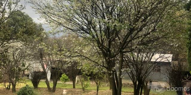 CASA CON TERRENO EN VENTA EN TLALMANALCO — foto 10