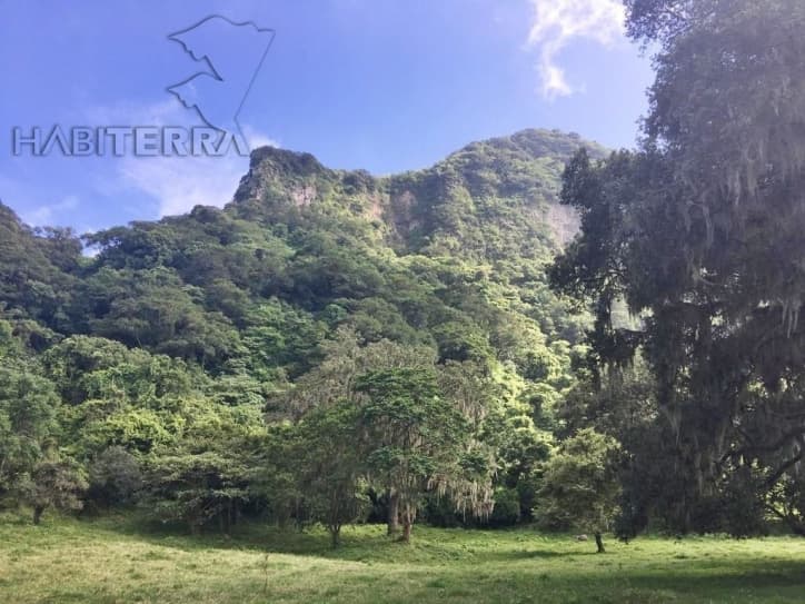 RANCHO EN VENTA UBICADO EN TEPETZINTLA ,VERACRUZ — foto 1