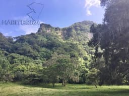 RANCHO EN VENTA UBICADO EN TEPETZINTLA ,VERACRUZ
