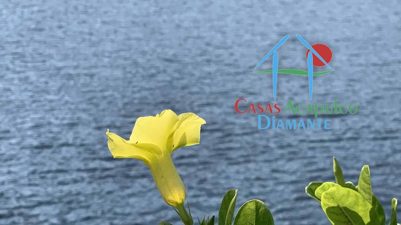 Cad Lotes Condominales En Barra Vieja — foto 11