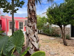 Casa en renta en el centro de Merida