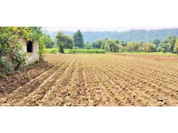 TERRENO EN PIPIOLTEPEC,VALLE DE BRAVO