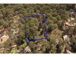 TERRENO CIRCUITO AVANDARO CON BOSQUE