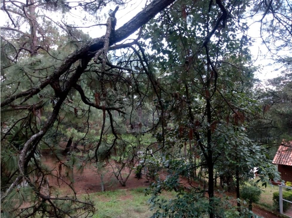 Cabaña en Venta Mazamitla — foto 2