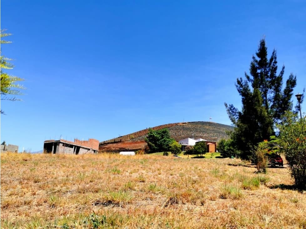 TERRENO EN VENTA EN SANTA SOFIA — foto 6