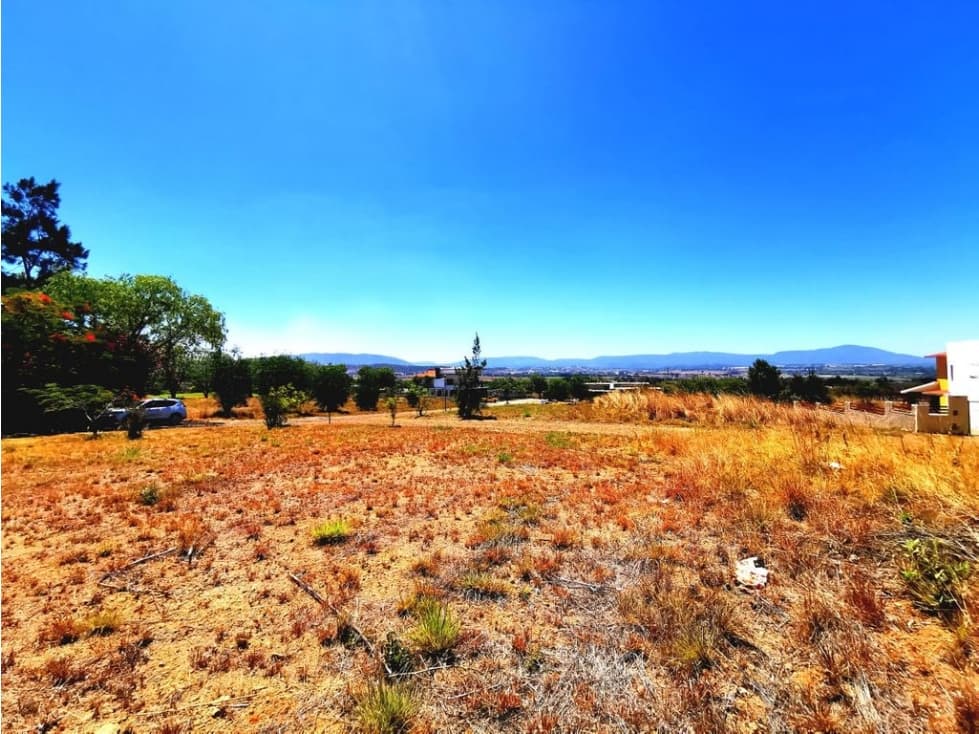 TERRENO EN VENTA EN SANTA SOFIA — foto 3