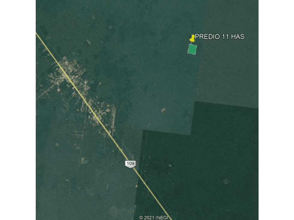 TERRENO EN MACARIO GÓMEZ, Q. ROO — foto 2