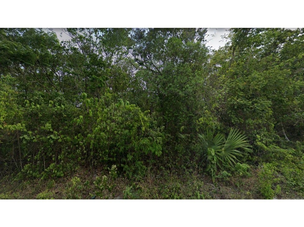 1 hectarea en La veleta Tulum Region 15 — foto 6