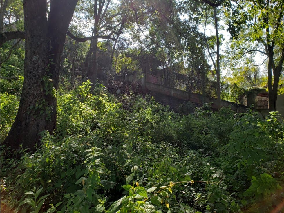TERRENO EN VENTA CON EXCELENTE VISTA AL LAGO — foto 4