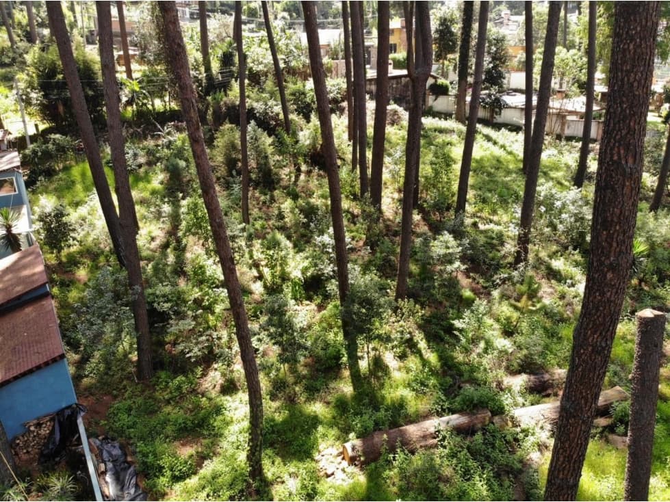 Terreno en venta, Zona Avandaro — foto 3