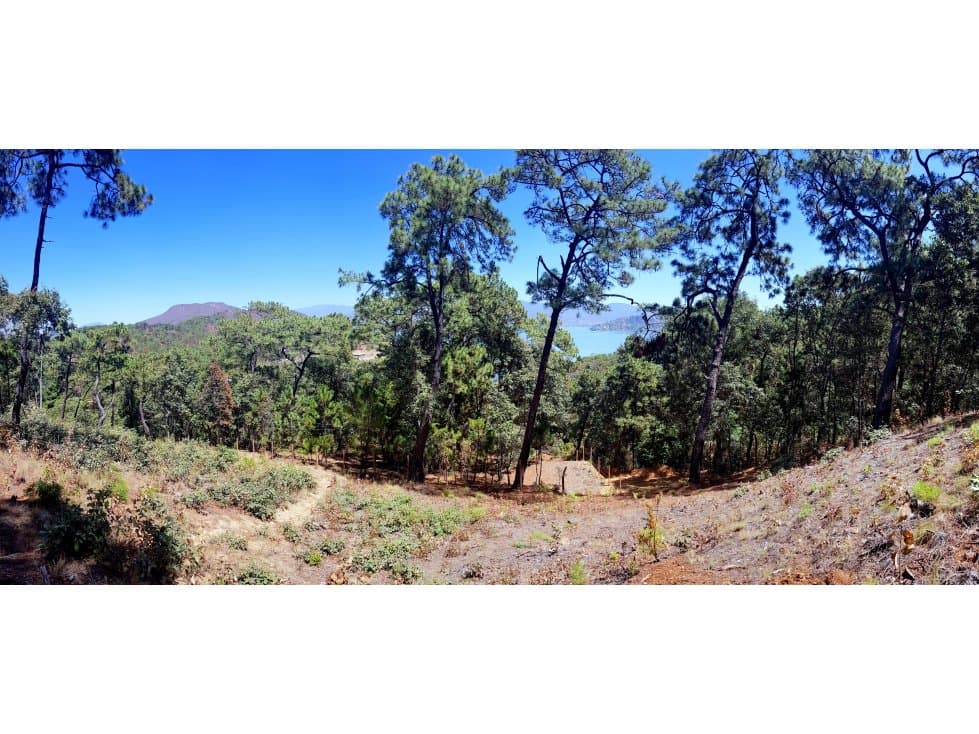 1000 m2 EN EL CERRILLO — foto 3