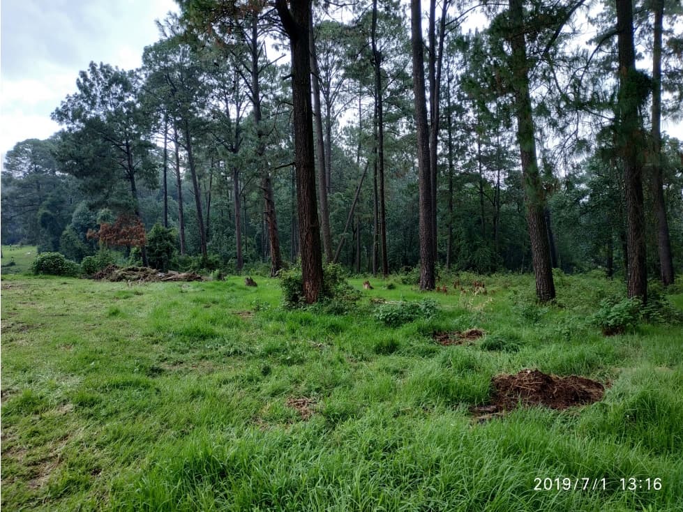 LOTE DE 2000 M2 EN CERRO GORDO — foto 6