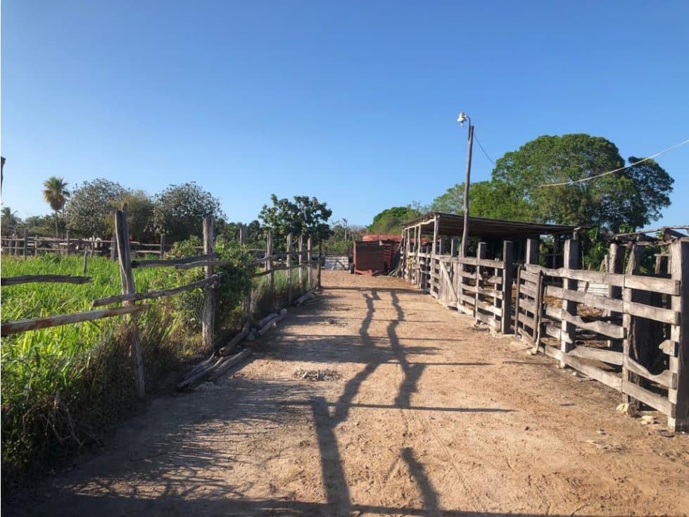TERRENO EN VENTA PUERTO PROGRESO — foto 5