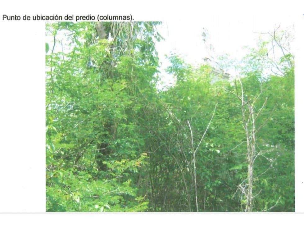 Excelente Terreno Con Servicios en Conkal — foto 5