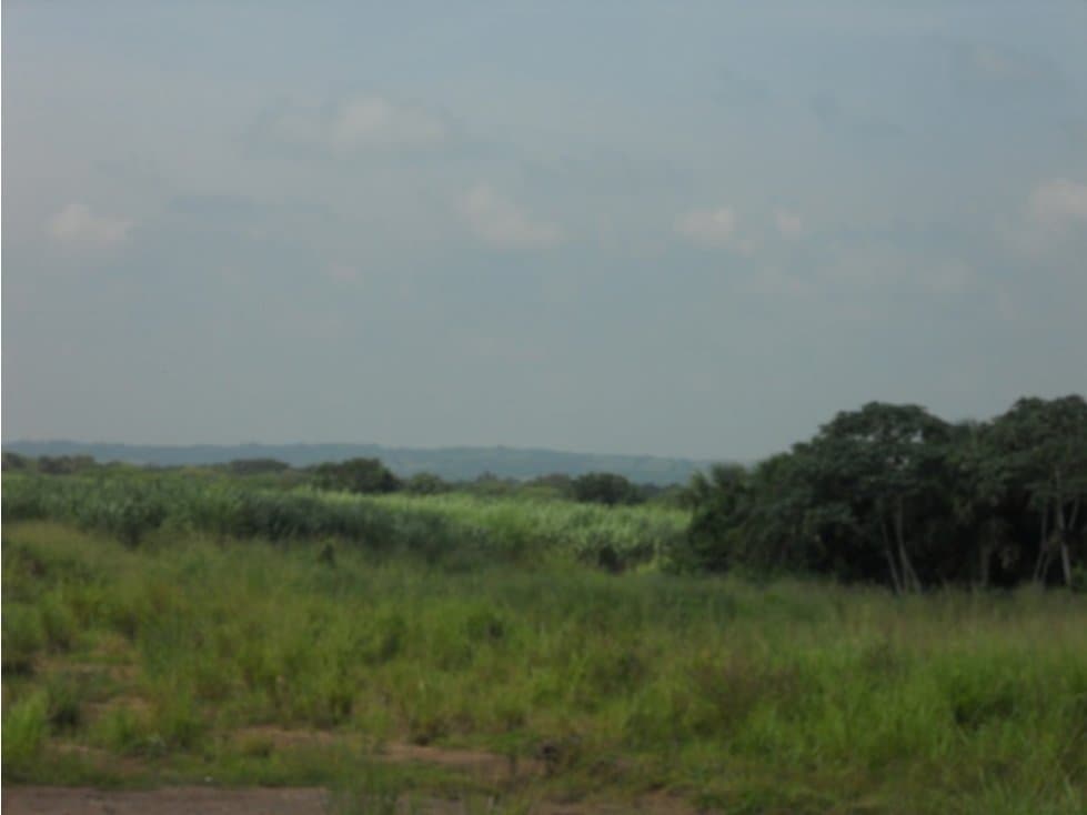 VENTA DE TERRENOS EN LOMA ZAMORANO — foto 4