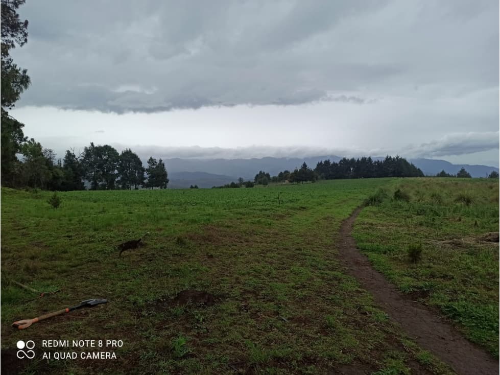 TERRENO EN LAS MESAS — foto 2