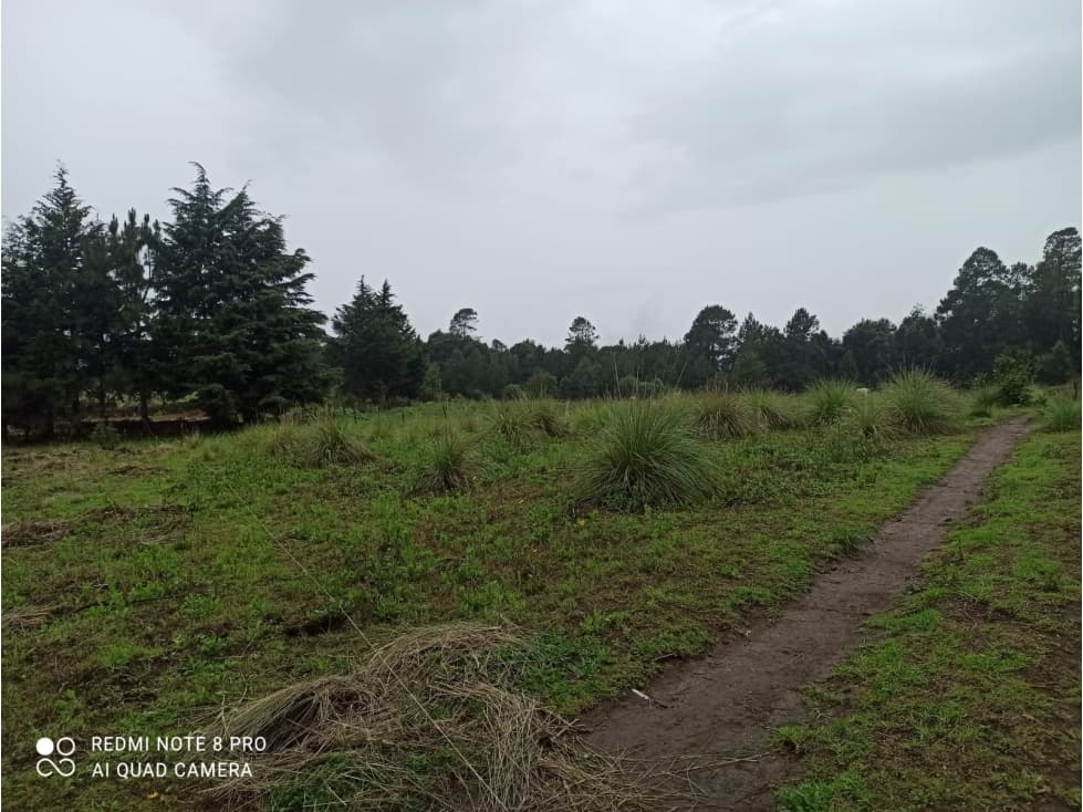 TERRENO EN LAS MESAS — foto 4