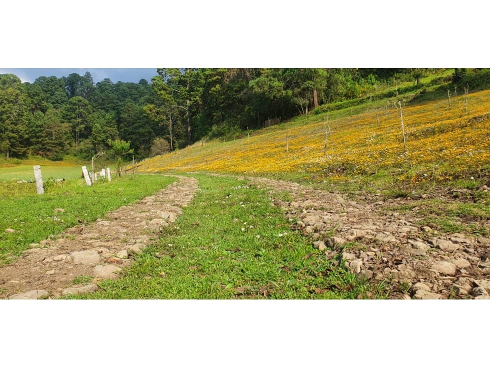 TERRENO EL CASTELLANO — foto 6