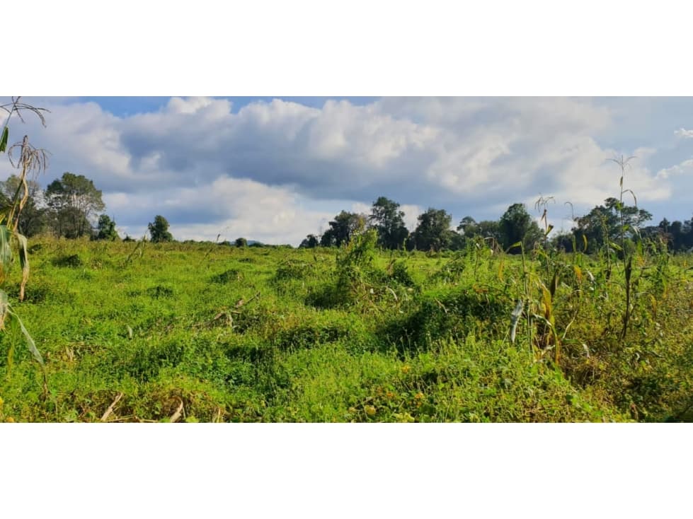 TERRENO EN ACATITLAN — foto 2