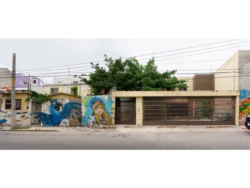 PREDIO EXCELENTE UBICACIÓN EN LAS PALAPAS — foto 1