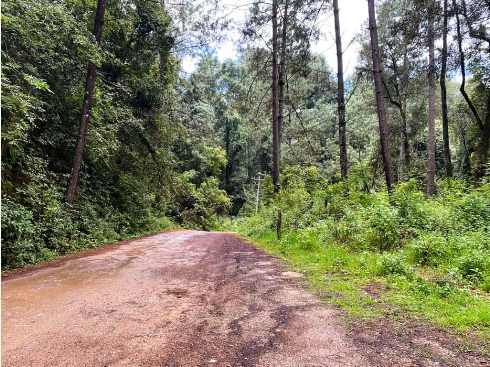 TERRENO VENTA CERRO GORDO, VALLE DE BRAVO — foto 3
