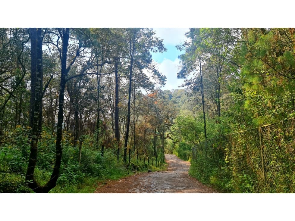 TERRENO EN EL PEDREGAL Y EL ESTRIBO — foto 2